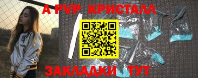тгк Канаш